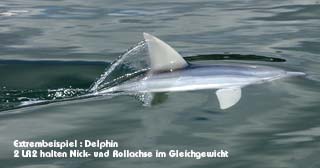 DELPHIN mit 2 Lageregelbriefmarken