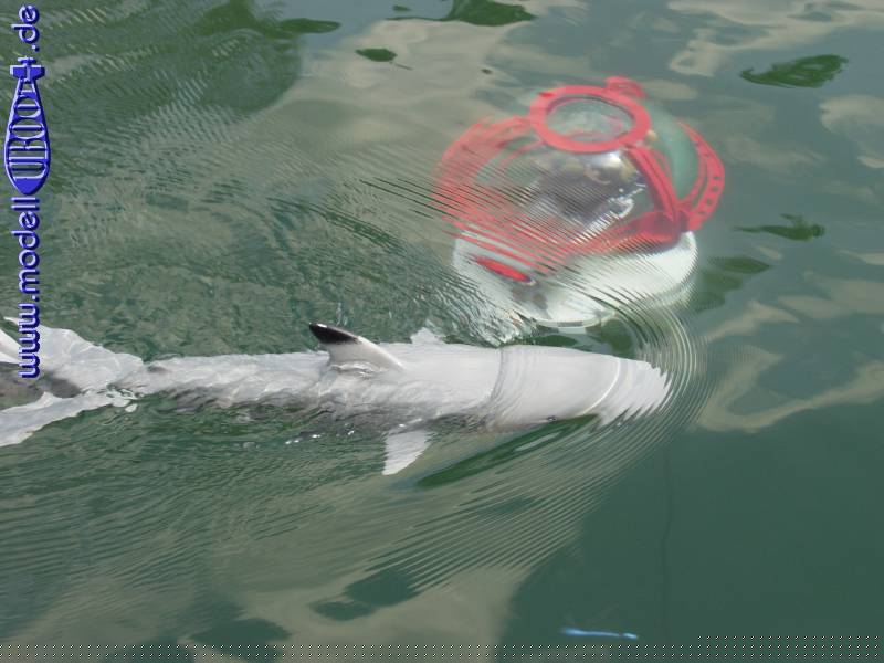 k4__nb_7244323.jpg