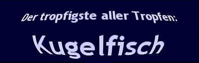 Der tropfigste aller Tropfen: Kugelfisch